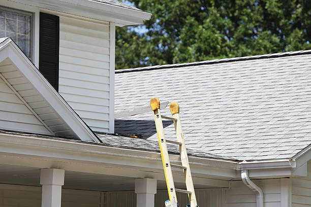 Best Fiber Cement Siding Installation  in Tecumseh, NE